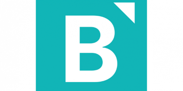 Partners Directory Bares Business Solutions